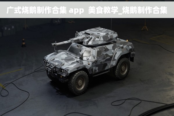 广式烧鹅制作合集 app  美食教学_烧鹅制作合集