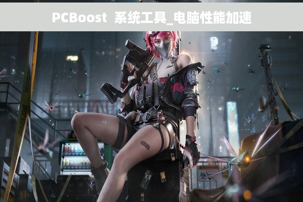 PCBoost  系统工具_电脑性能加速