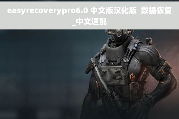 easyrecoverypro6.0 中文版汉化版  数据恢复_中文适配