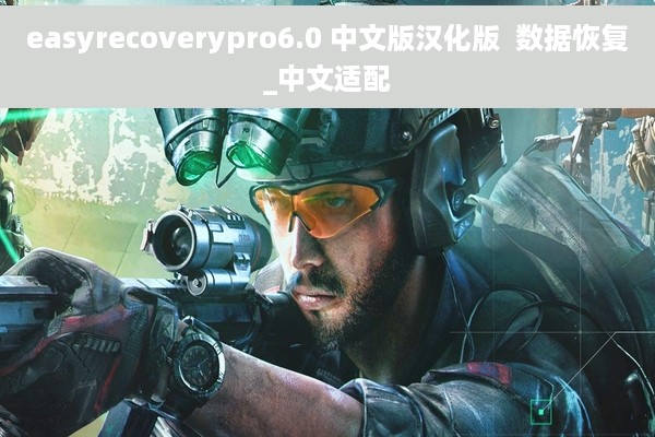 easyrecoverypro6.0 中文版汉化版  数据恢复_中文适配