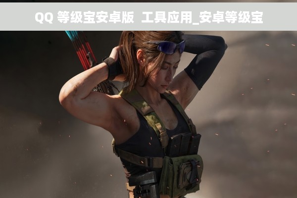 QQ 等级宝安卓版  工具应用_安卓等级宝