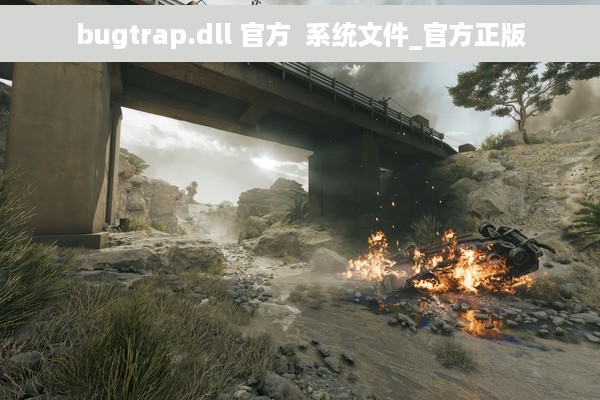 bugtrap.dll 官方  系统文件_官方正版