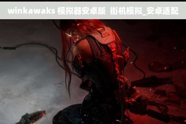 winkawaks 模拟器安卓版  街机模拟_安卓适配