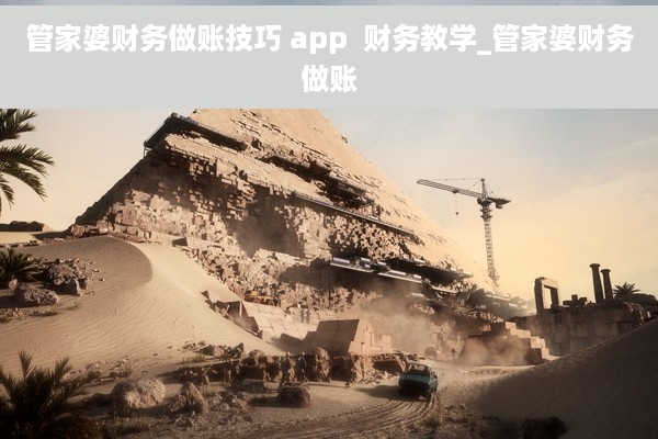 管家婆财务做账技巧 app  财务教学_管家婆财务做账