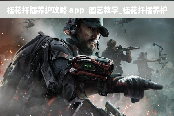 桂花扦插养护攻略 app  园艺教学_桂花扦插养护