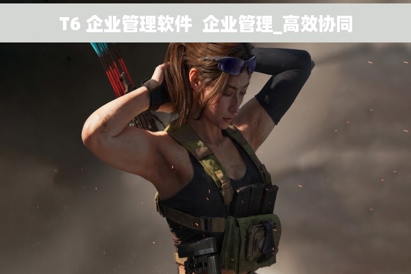T6 企业管理软件  企业管理_高效协同
