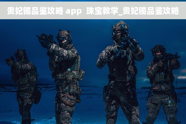 贵妃镯品鉴攻略 app  珠宝教学_贵妃镯品鉴攻略