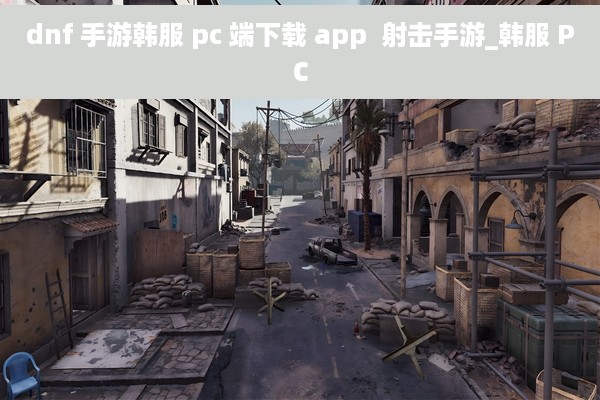 dnf 手游韩服 pc 端下载 app  射击手游_韩服 PC