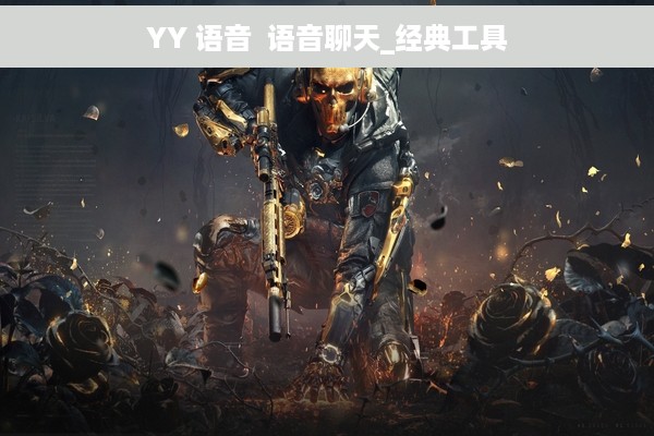 YY 语音  语音聊天_经典工具