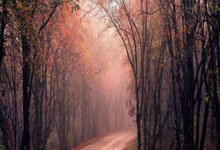 AutoSleepapp  睡眠监测_自动记录