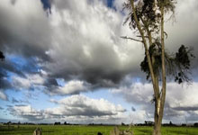 999279.com（九九九二七九）@域名whios查询-网站信息查询-服务器ip查询结果