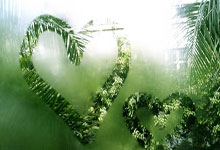 111qq.cn（一一一QQ中国）@域名whios查询-网站信息查询-服务器ip查询结果