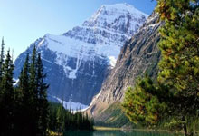 youyong360.com（360婴儿游泳网）@域名whios查询-网站信息查询-服务器ip查询结果