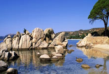 宝宝儿童益智游戏 APP  儿童游戏_益智互动